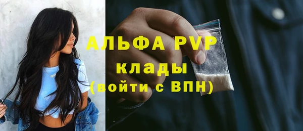 хмурый Богородицк