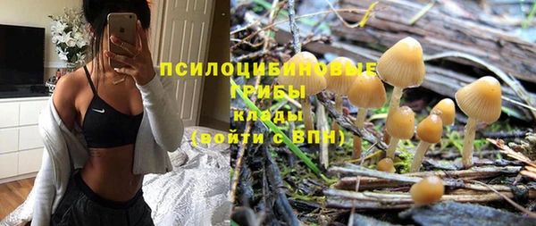 хмурый Богородицк