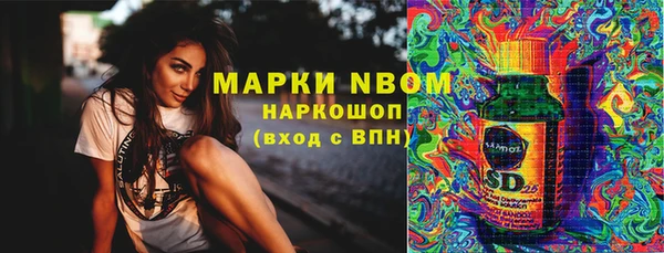 хмурый Богородицк